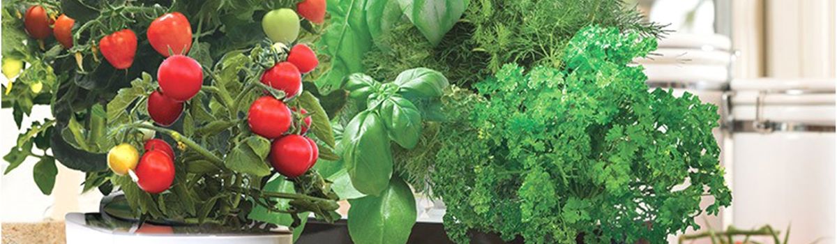 Aero Herb Garden Beautiful Aero Herb Garden