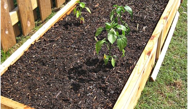 Cedar Boards for Raised Garden Beds Awesome Cedar Boards for Raised Garden Beds