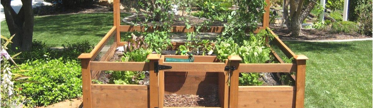 How to Keep Dogs Out Of Garden Fresh How to Keep Dogs Out Of Garden