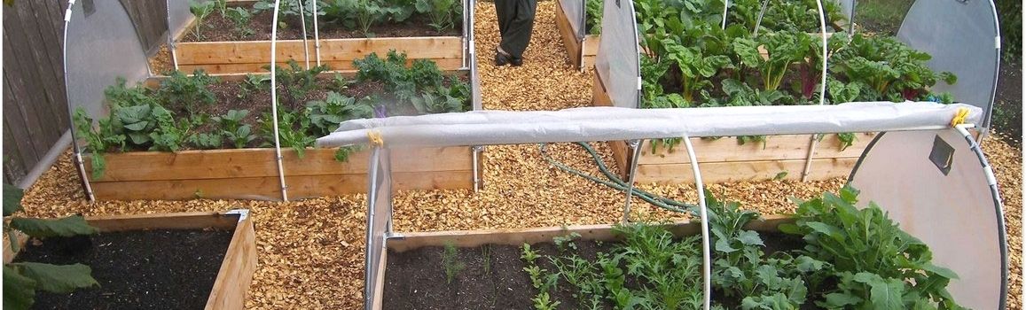 Raised Vegetable Garden Beds Unique Raised Vegetable Garden Beds