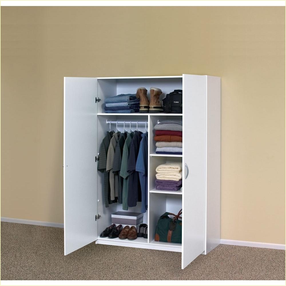 fresh decoration wardrobe cabinet with shelves 52 literarywondrous ideasy closet ideasi 0d