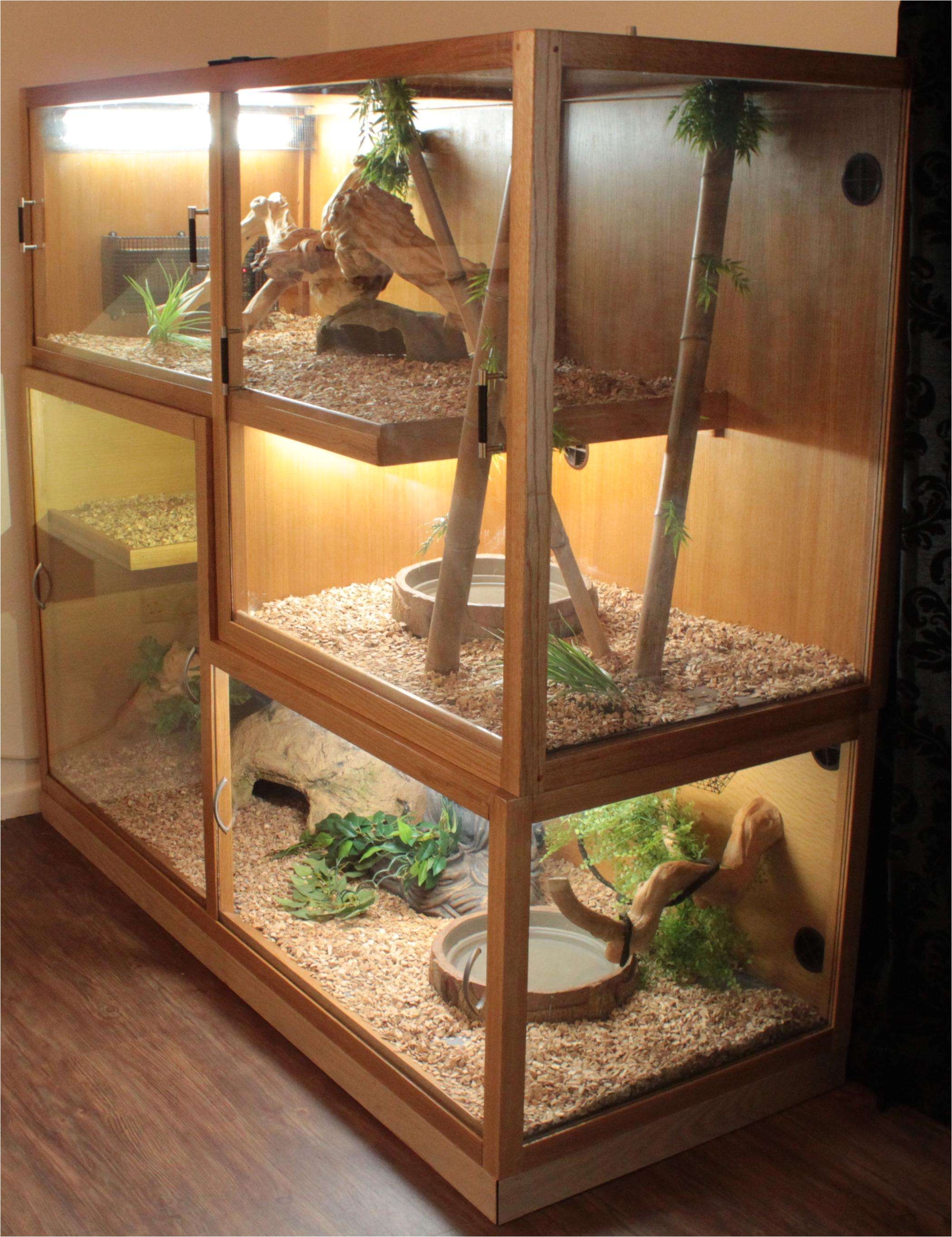 bearded dragon habitat 40