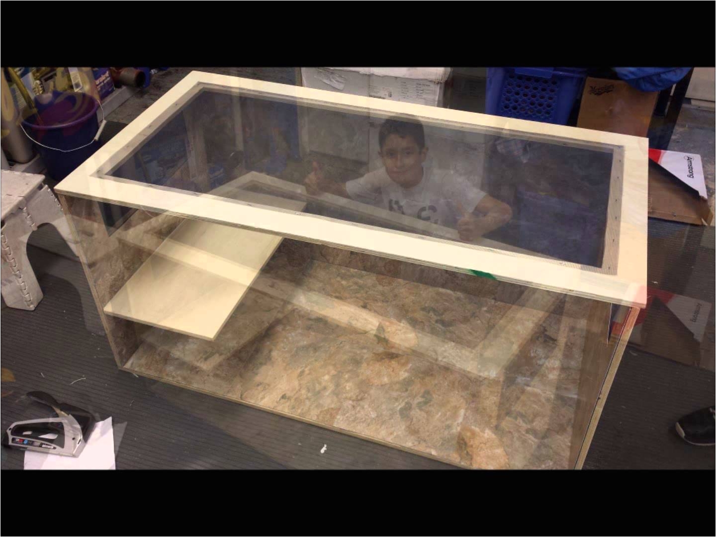 Bearded Dragon Vivarium Flooring Bearded Dragon Custom Luxury Enclosure Youtube