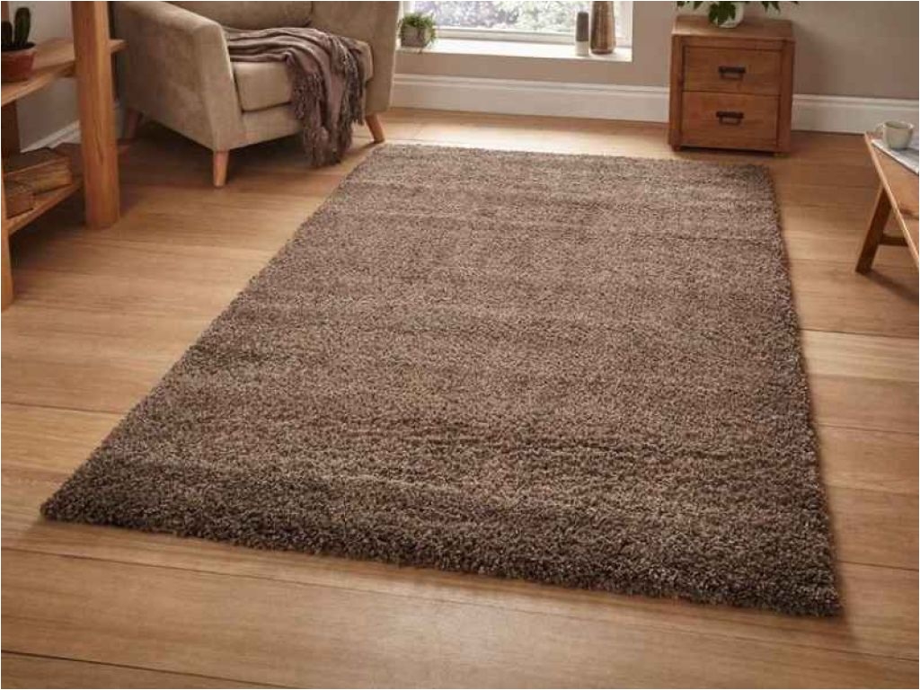 full room rugs beautiful a e a 24 nice best area rugs for living room 50 oval rugs