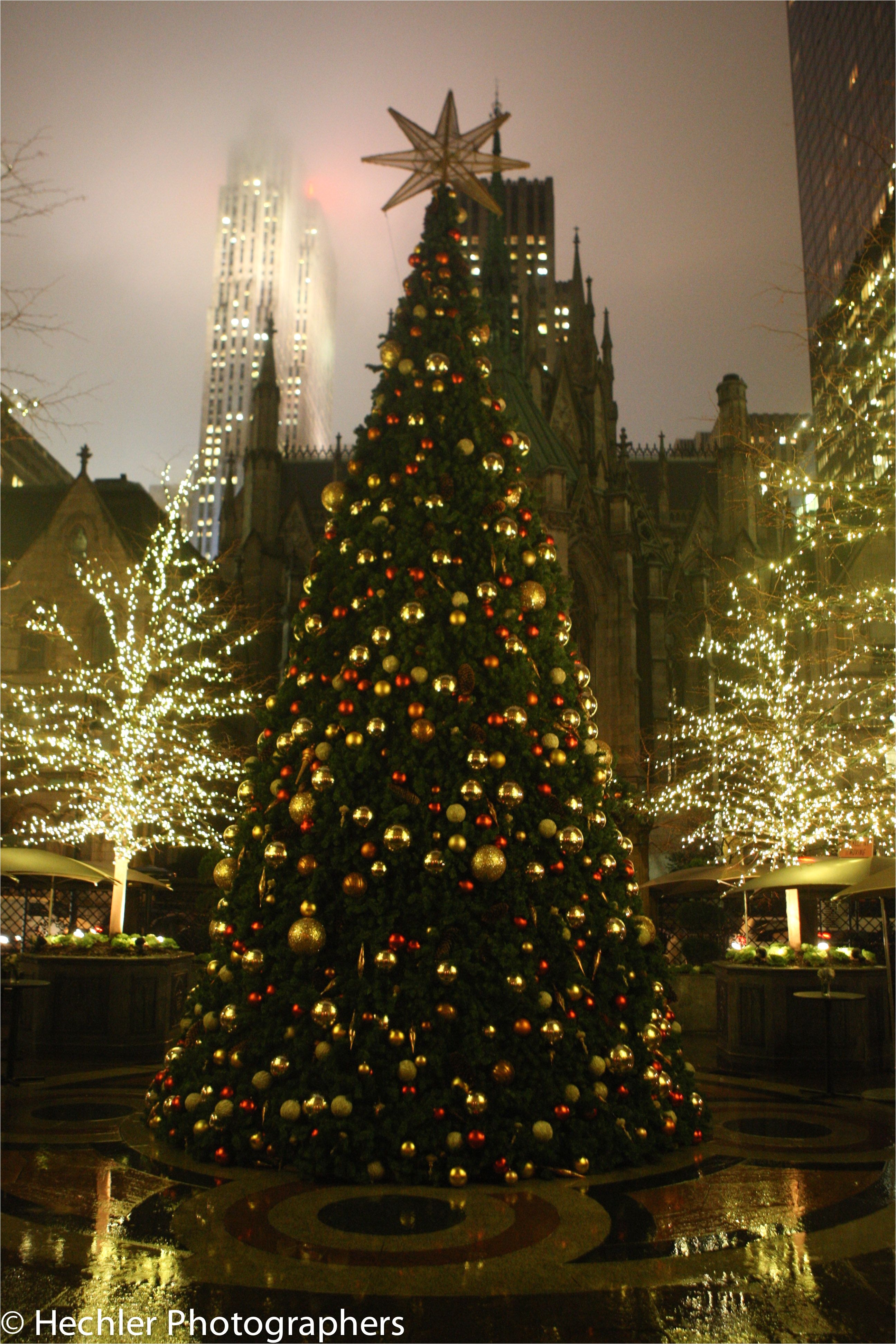new york palace christmas tree 56a5e7eb5f9b58b7d0df20c9 jpg