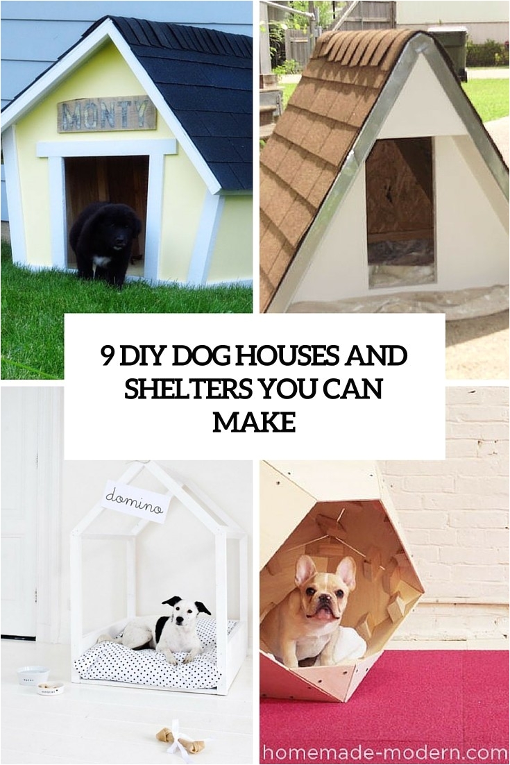 easy dog house plans elegant outdoor dog kennel like the covered run