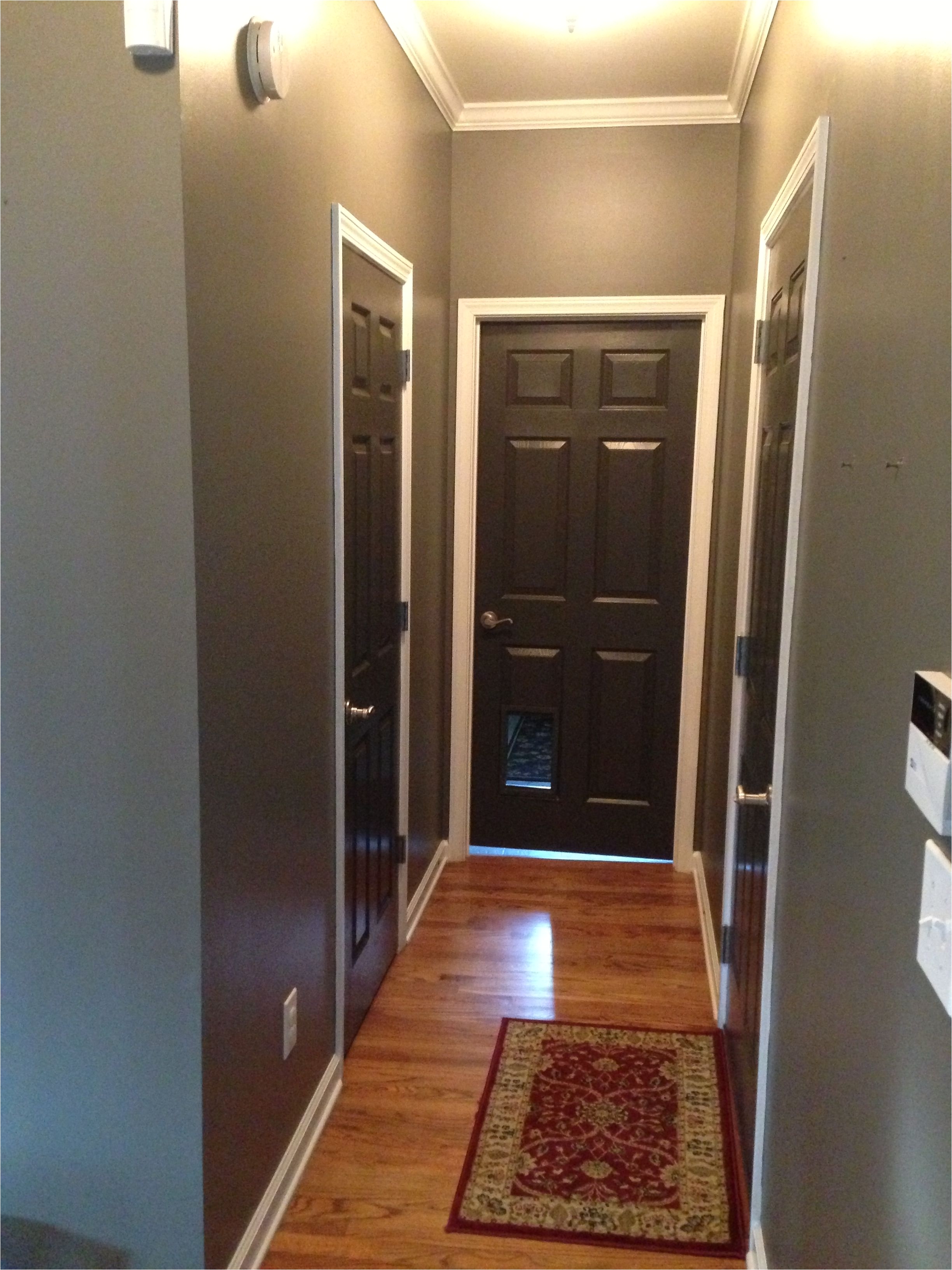 grey walls and black brown doors crisp white trim