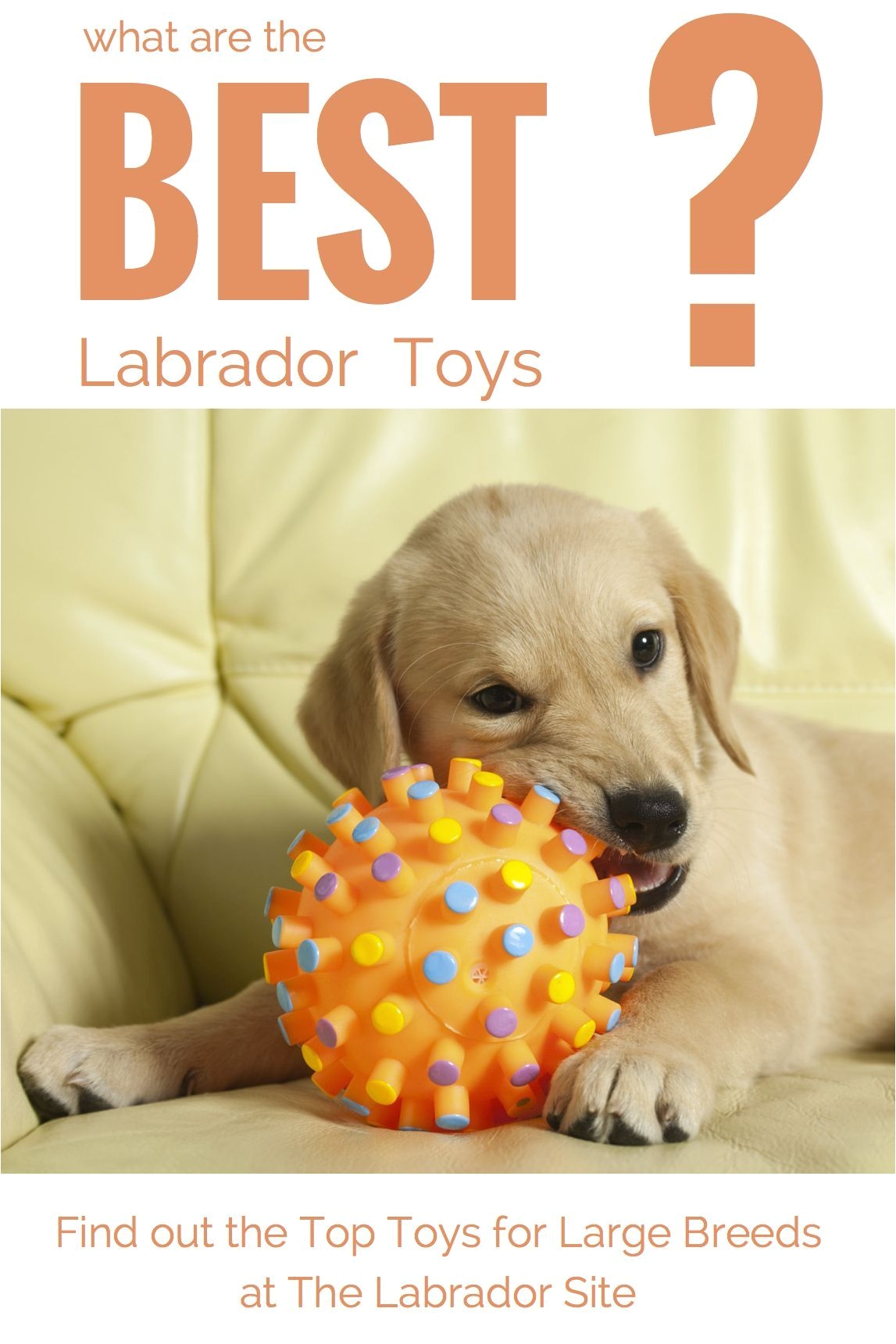 looking at the best dog toys for large breeds like labradors sharing our knowledge about indestructible dog toys dog puzzle toys dog chew toys