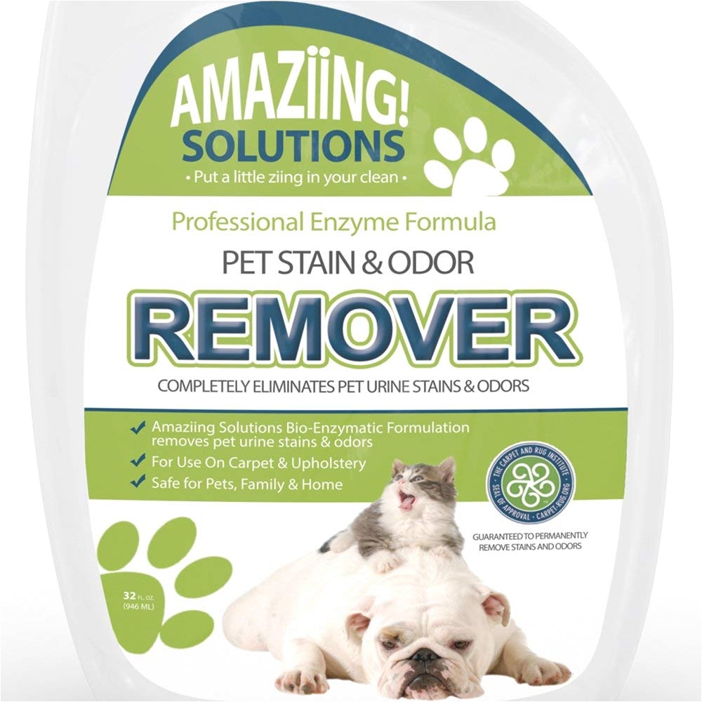 amazon com amaziing solutions pet odor eliminator and stain remover carpet cleaner for dog urine and cat pee professional strength enzymatic solution