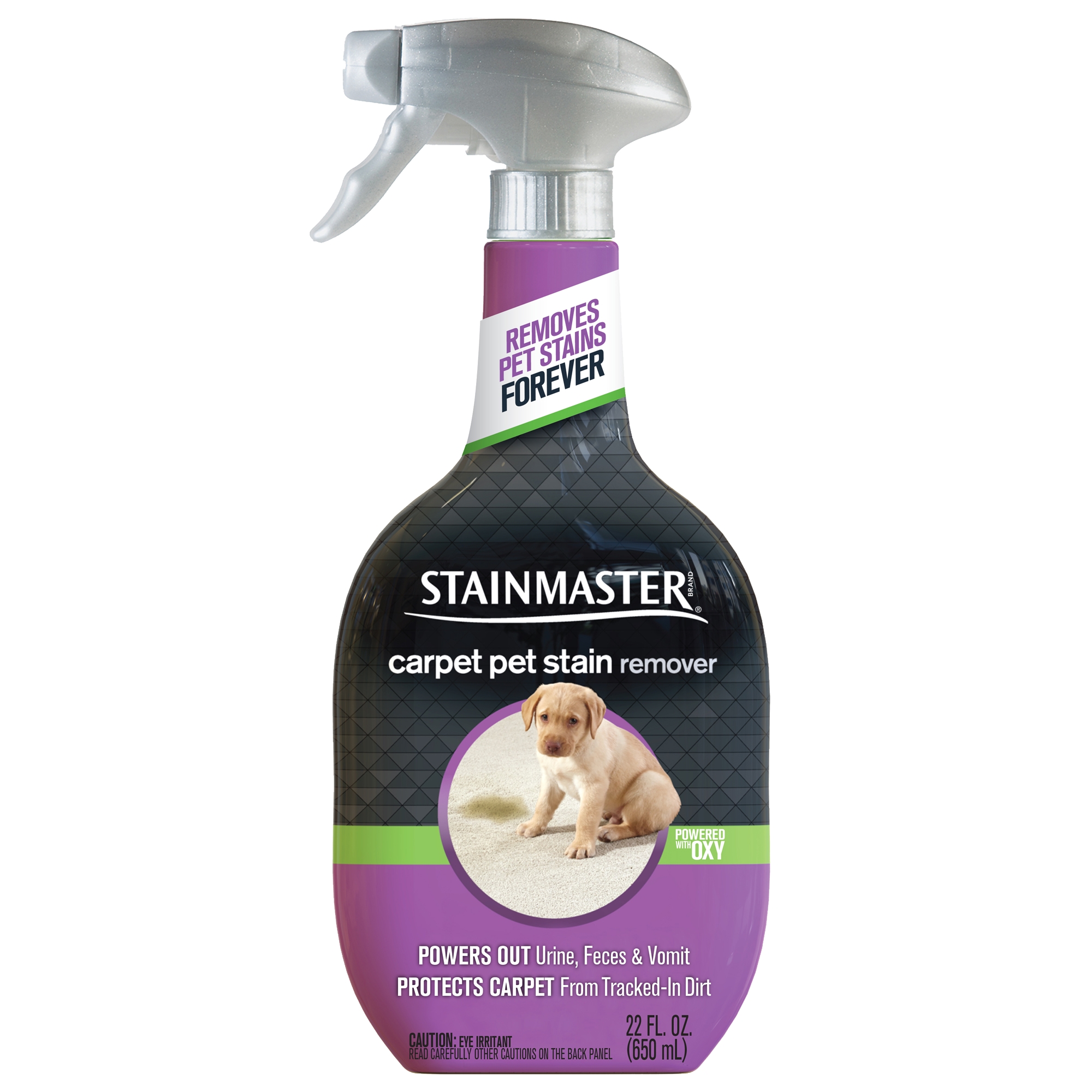Best Rugs for Dogs that Pee Stainmaster Carpet Pet Stain Remover 22 Fl Oz Walmart Com