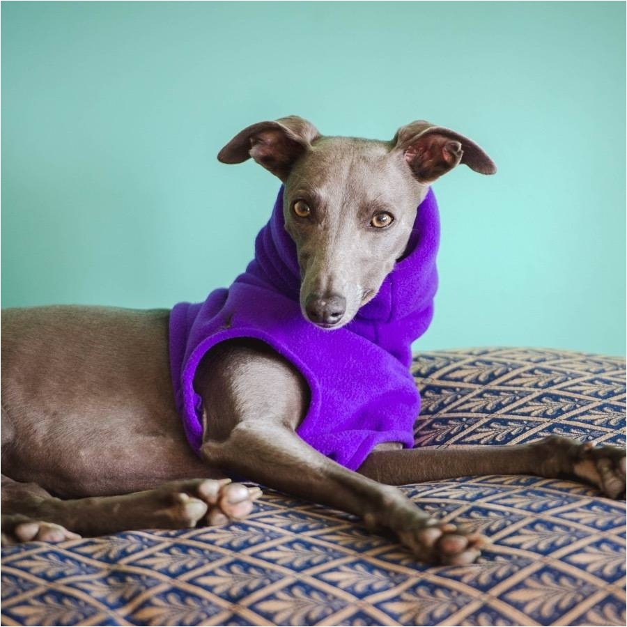 fleecy snood for whippets gifts for pets