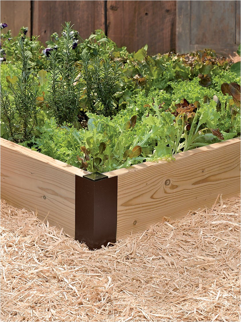 Cedar Boards for Raised Garden Beds Cedar Boards for Raised Garden Beds Set Of 2 Gardeners Com