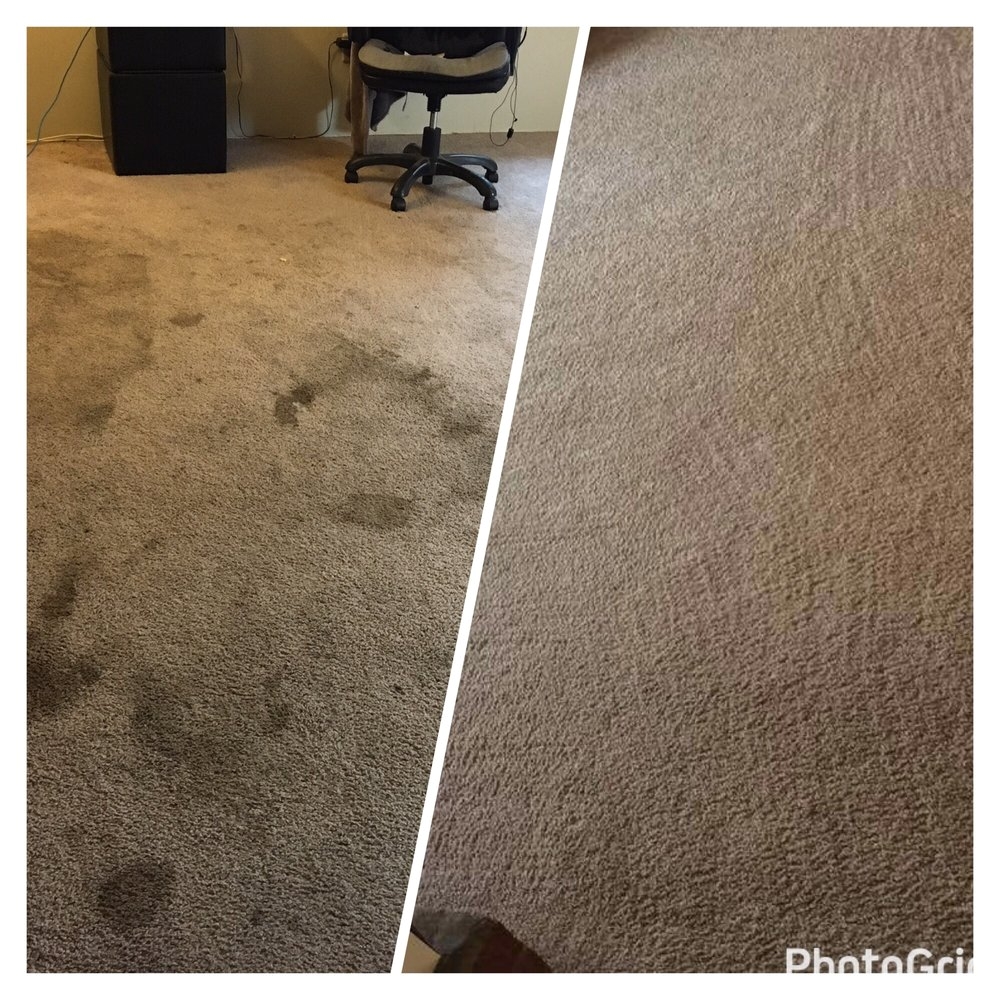 upright cleaning restoration 47 photos 100 reviews carpet cleaning san diego ca phone number yelp