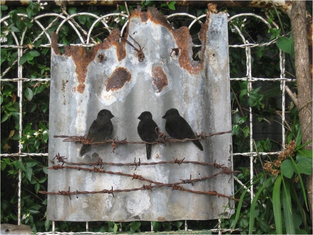 tin birds on wire rusty corrugated iron