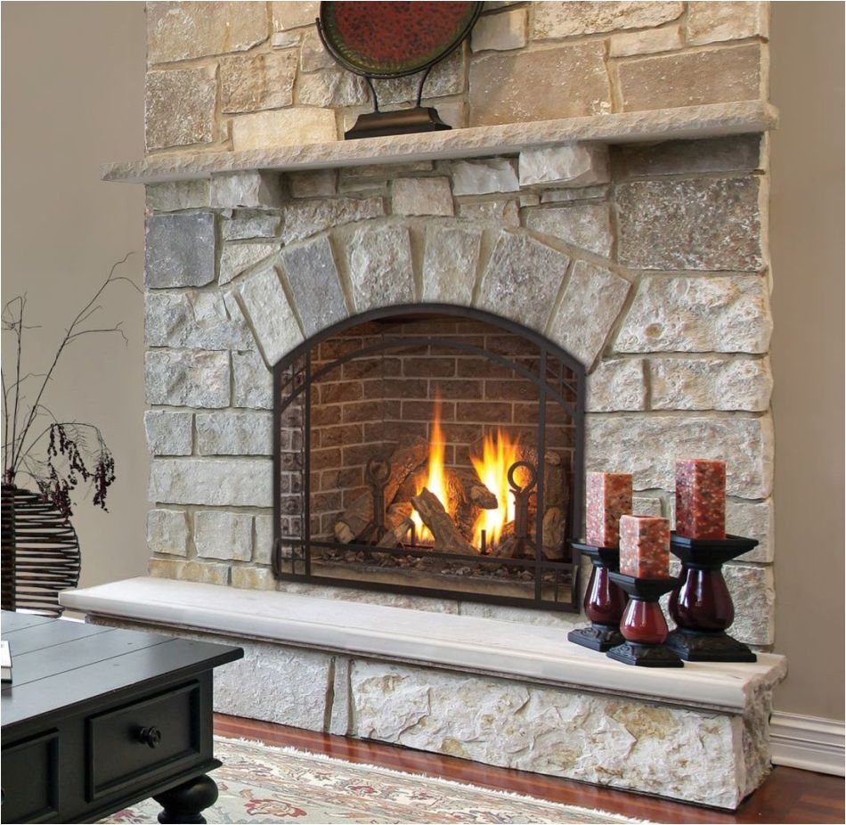 fireplaces inserts stoves