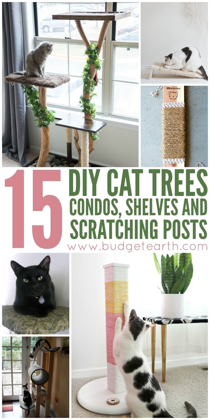 want to spoil your cat check out these 15 diy cat trees condos and scratching posts projects here
