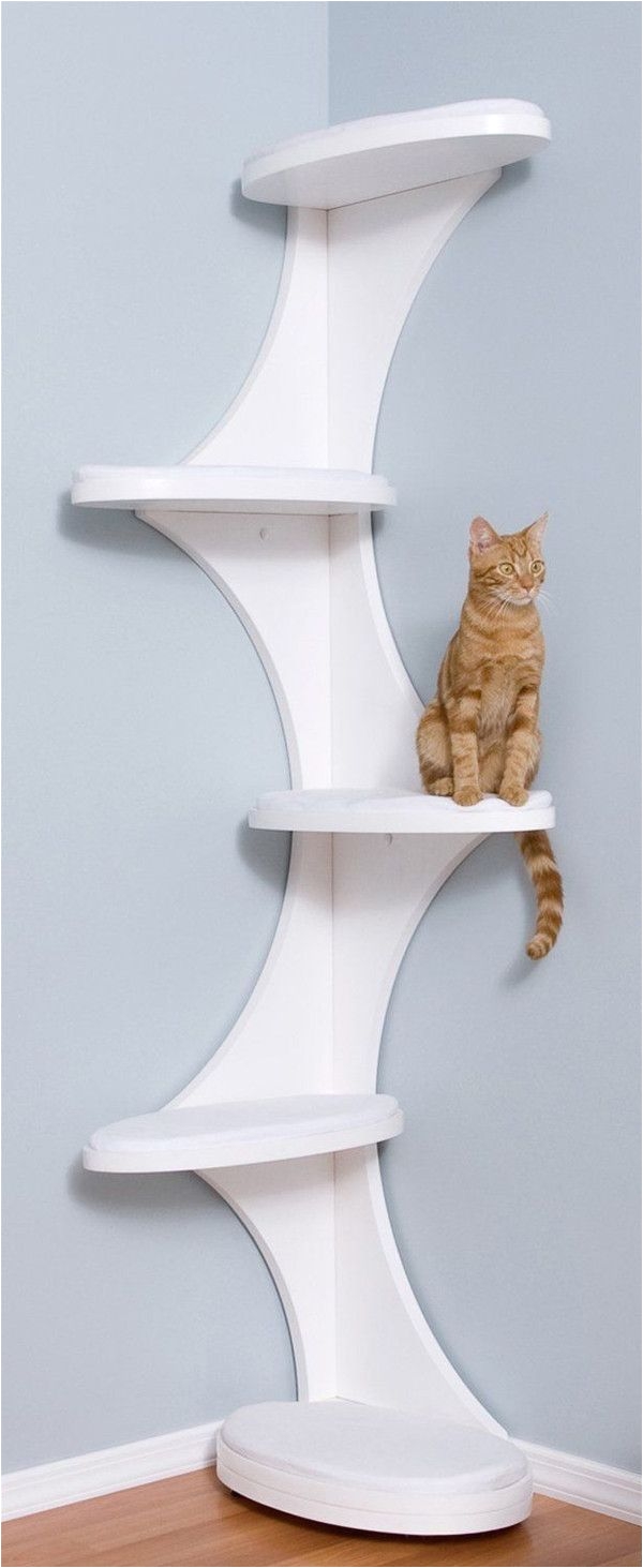20 most popular cat tree ideas you will love cat tree tower and corner