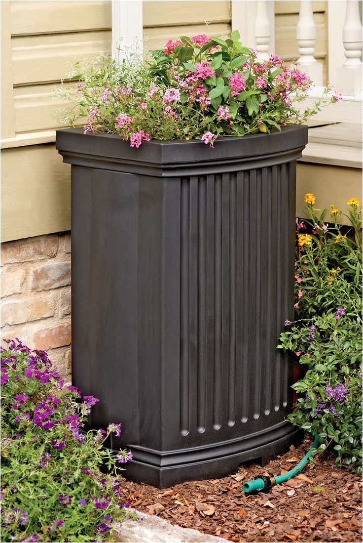 collect precious rainwater in this decorative rain barrel