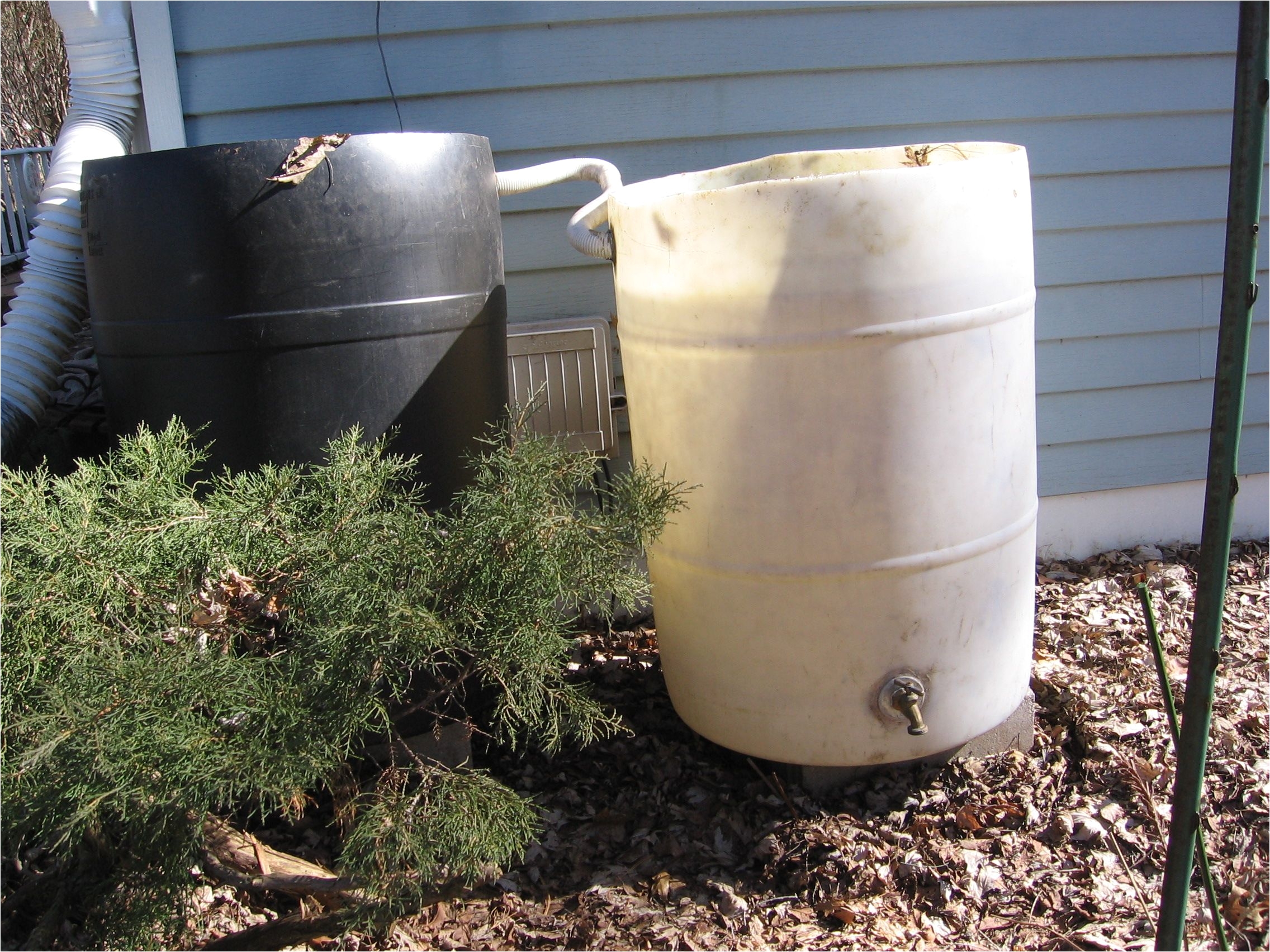 rain barrels can be piggy backed to increase your capacity here you