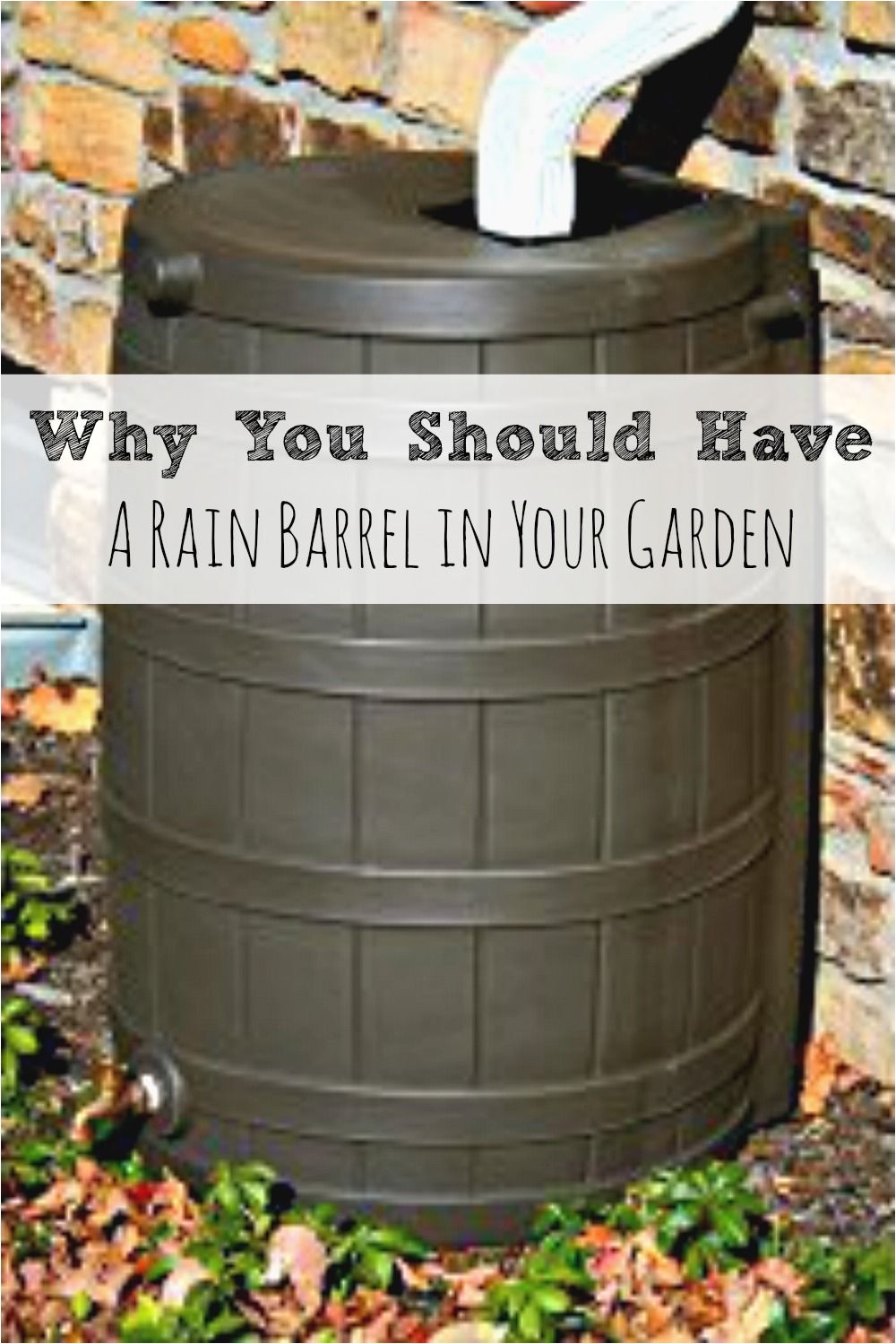 rainwater harvesting why you should have a rain barrel