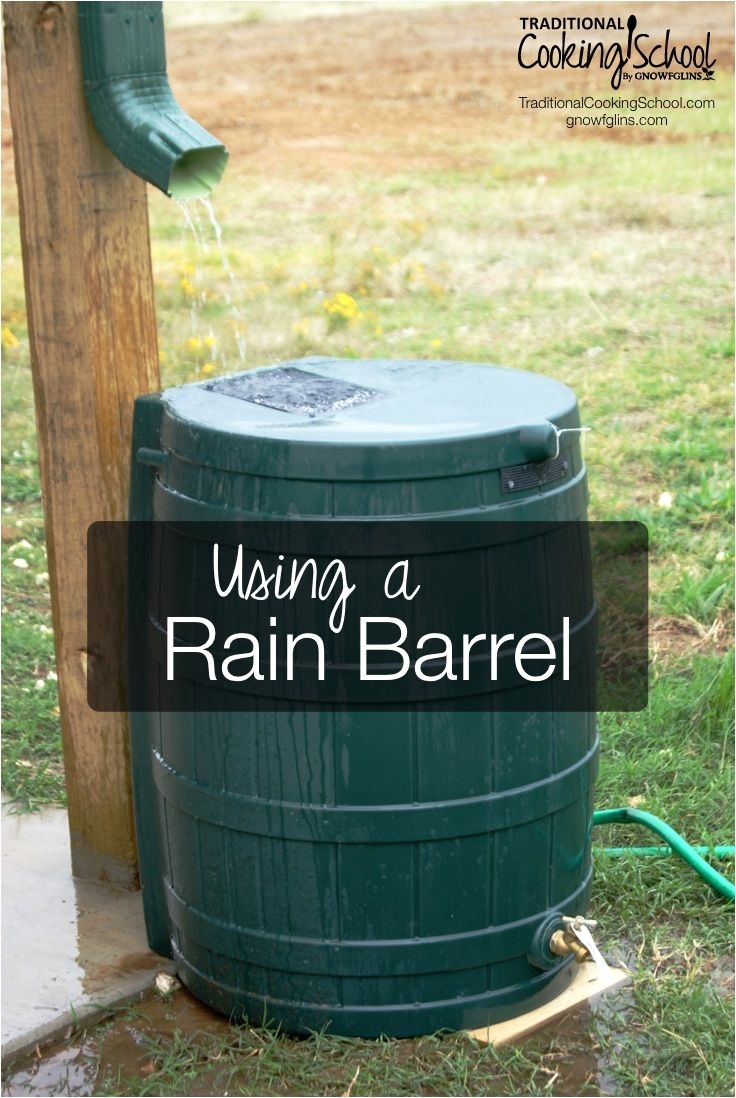 using a rain barrel rain barrels help you take that extra step toward self sufficiency and sustainability plus they reduce your water bill