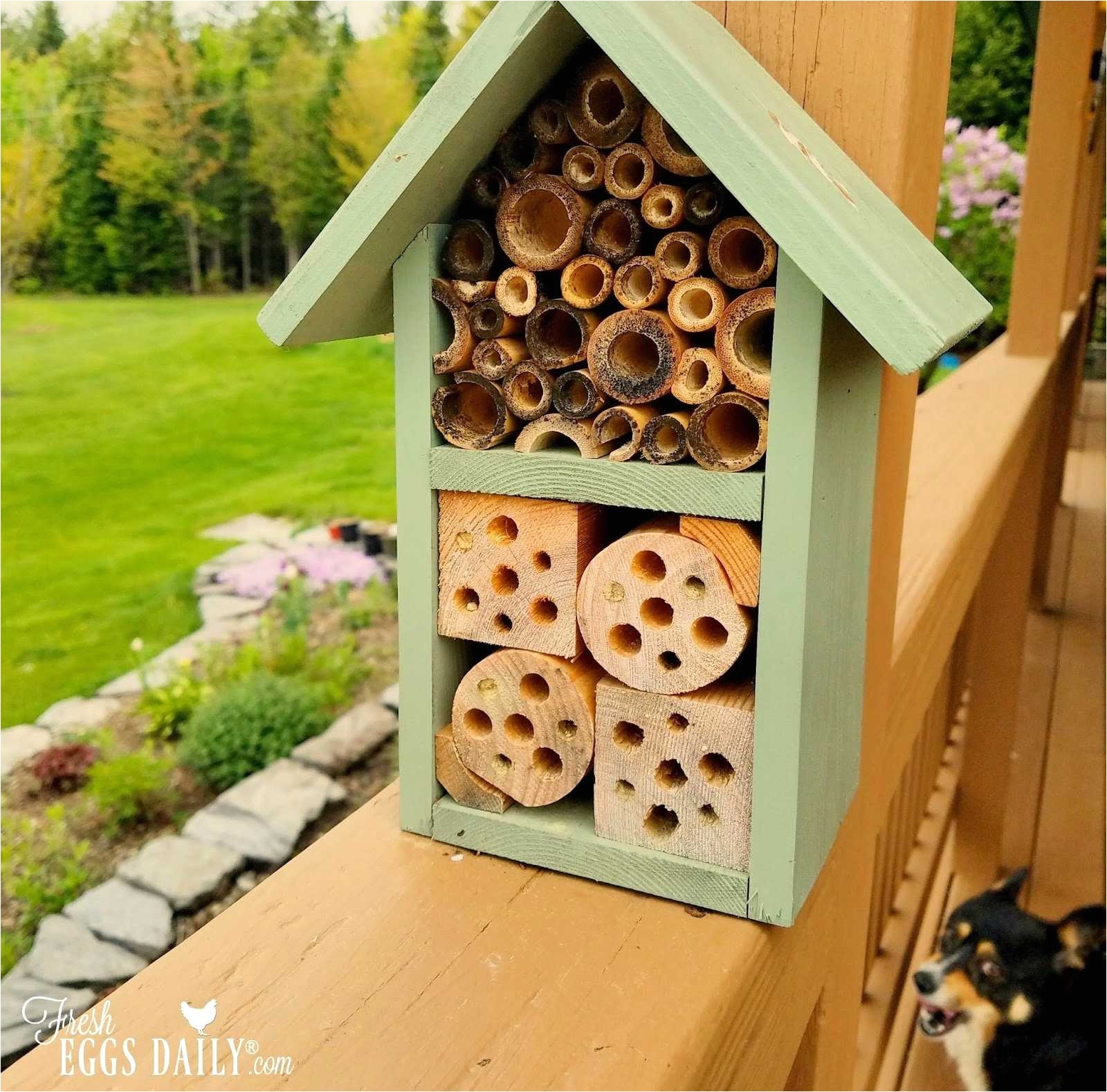 mason bee houses plans the best bee of 2018