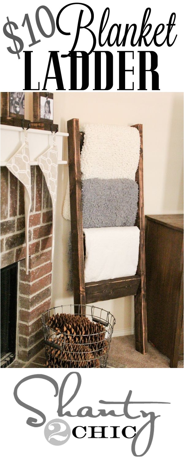 love this blanket ladder would be great for the living room since i love throws and they definitely clutter the place up if not put away