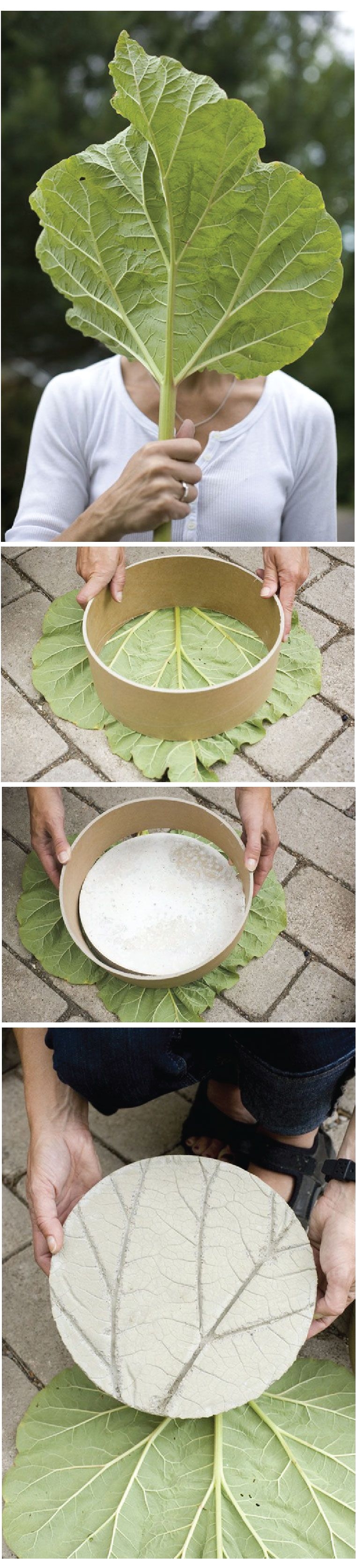 diy garden stone another link here http familycrafts about com od steppingstones ig garden stepping stone photos rhubarb leaf stepping stones htm