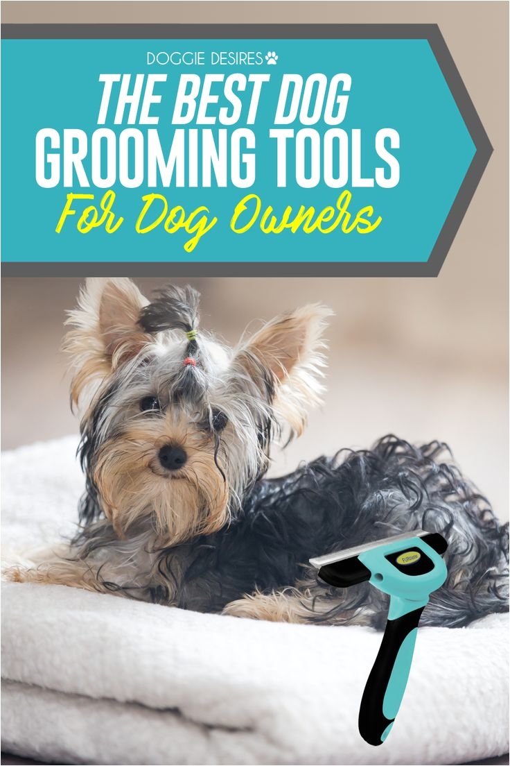the best dog grooming tools for dog owners out there