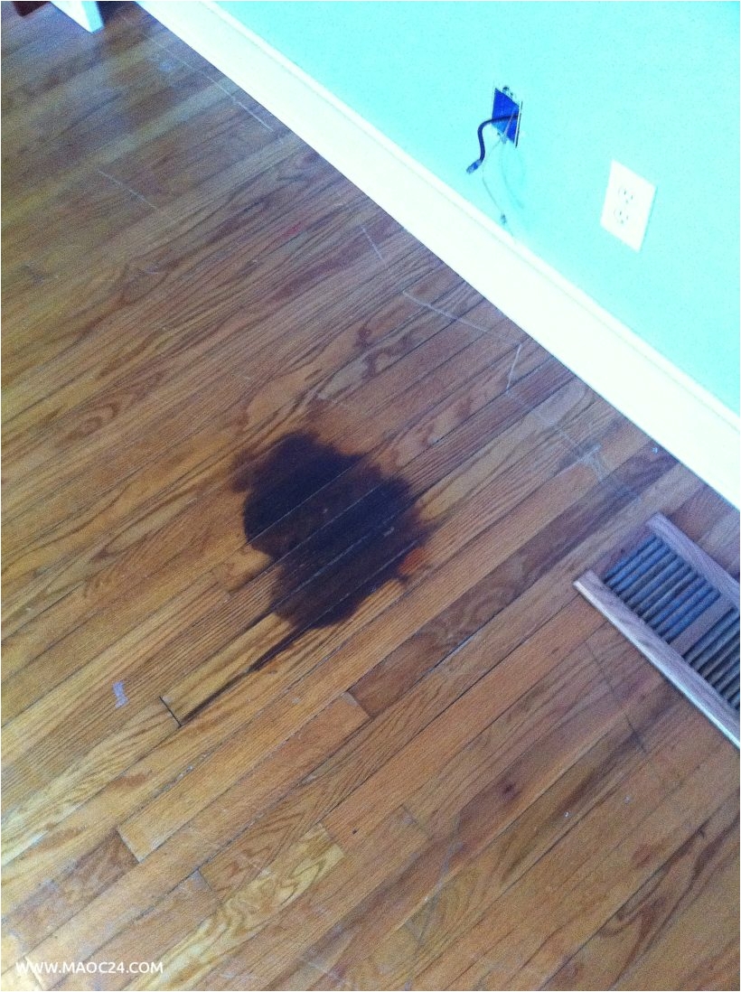 cat pee stains on wood floors wood flooring ideas
