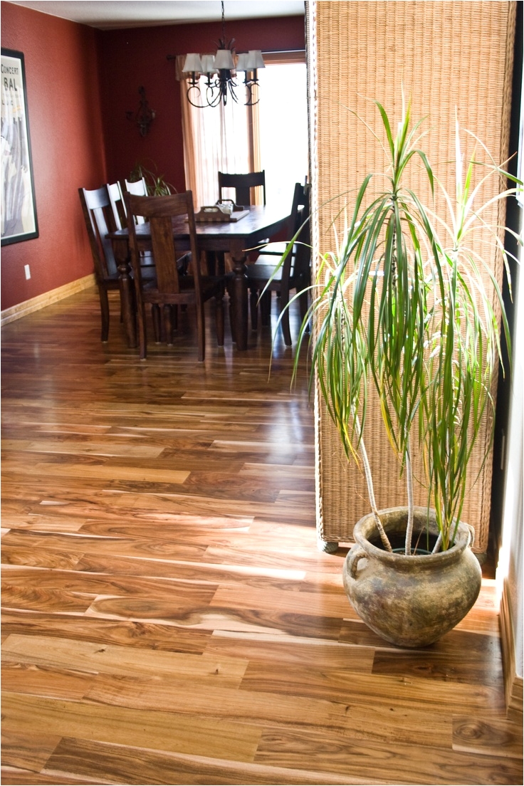 anderson hardwood flooring available at hamilton building services