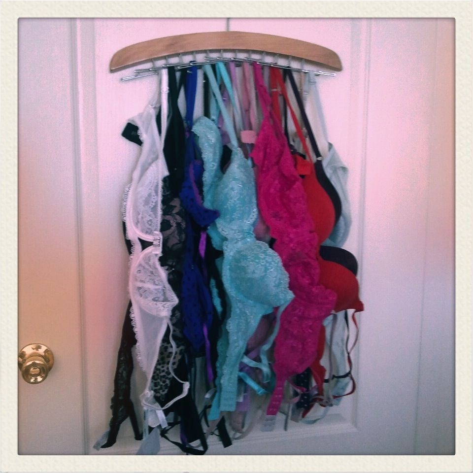 tie rack for bra storage so brilliant