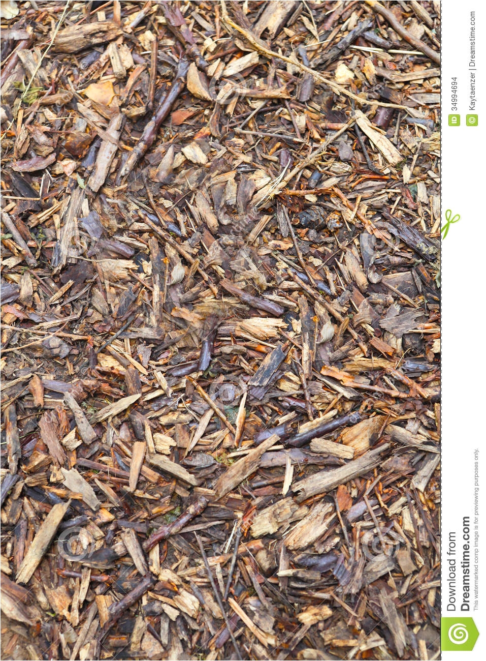 bark mulch forest floor garden path