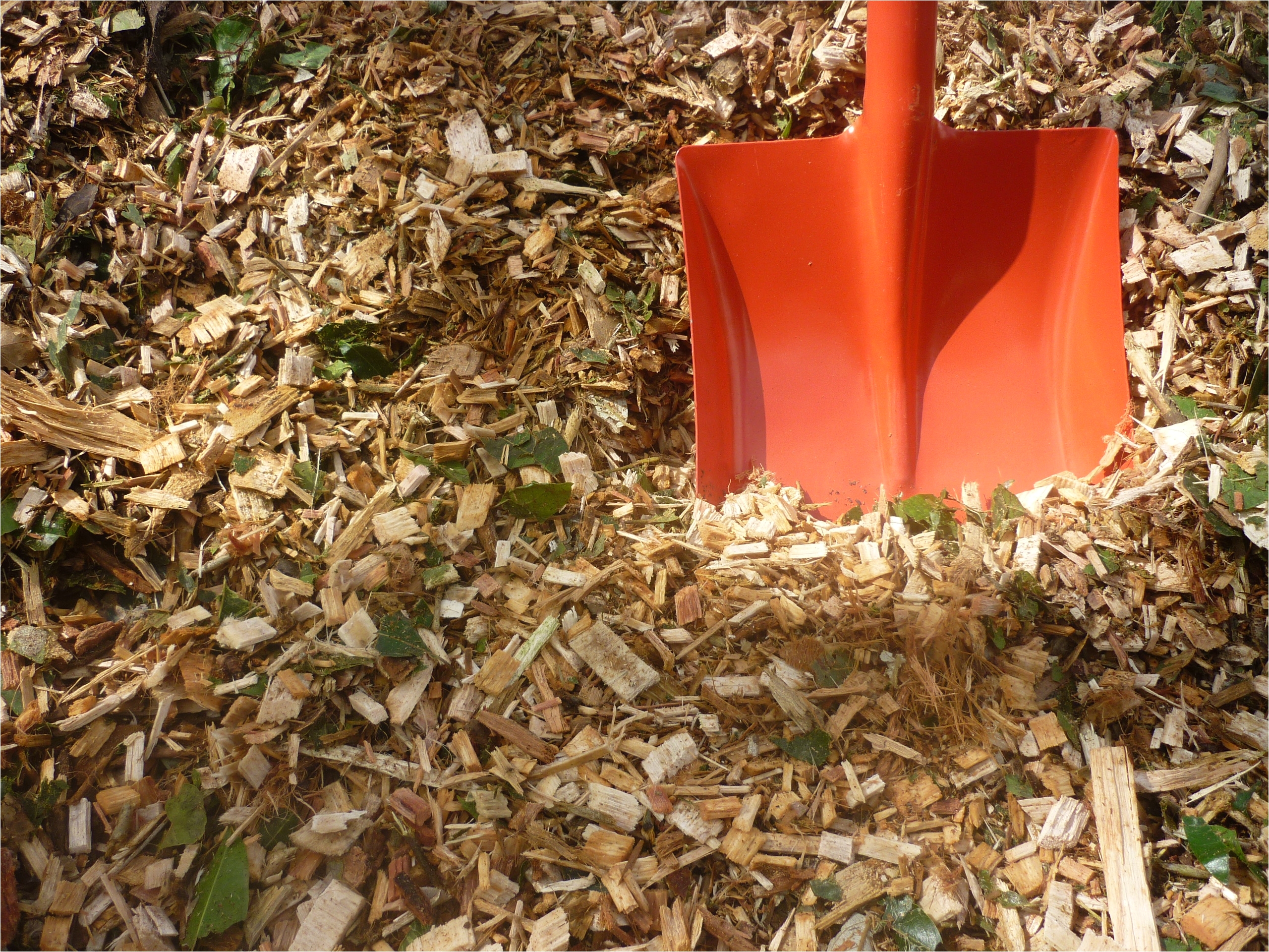 forest mulch