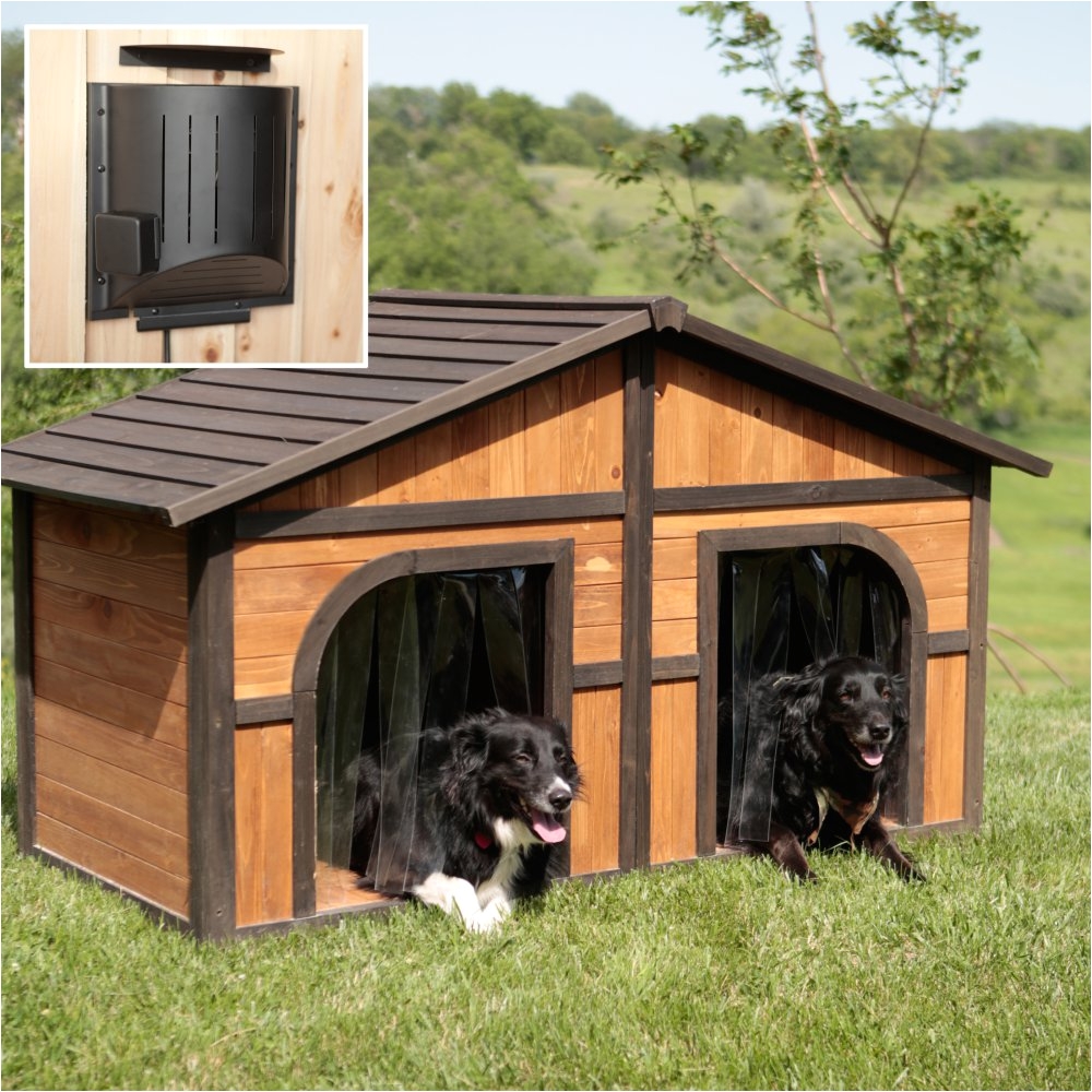 duplex dog house plans free custom dog house plans build a dog house bibserver