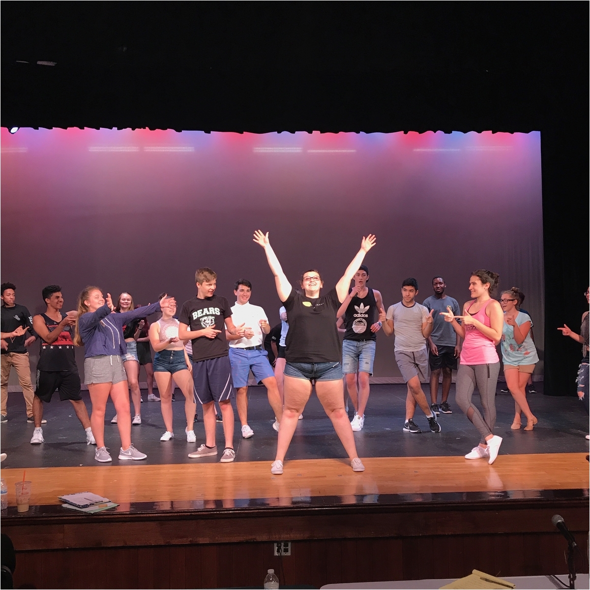 spotlight arts mainstage program provides local students with a professional theatre performance education through a large scale commercial production