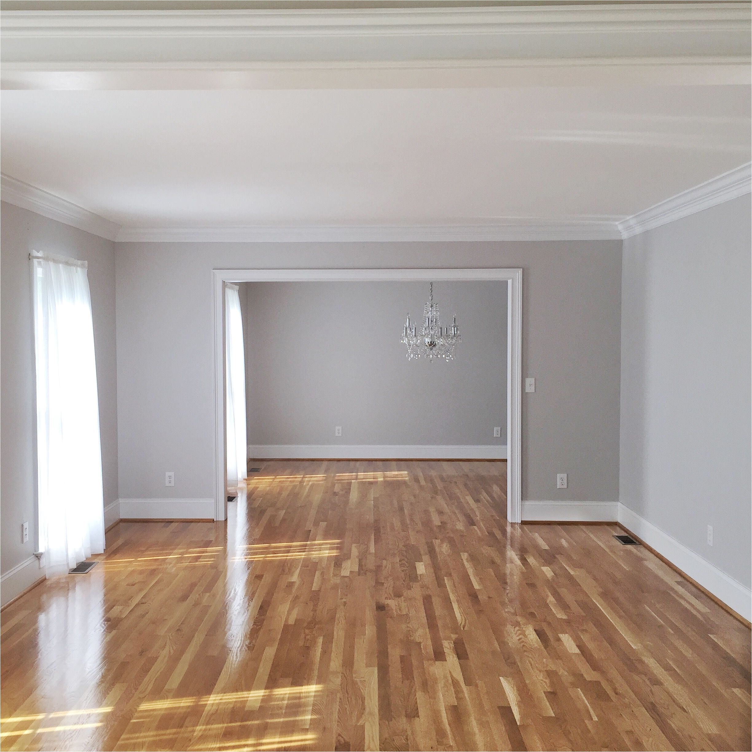 bethany mitchell homes hardwood floors natural light grey walls