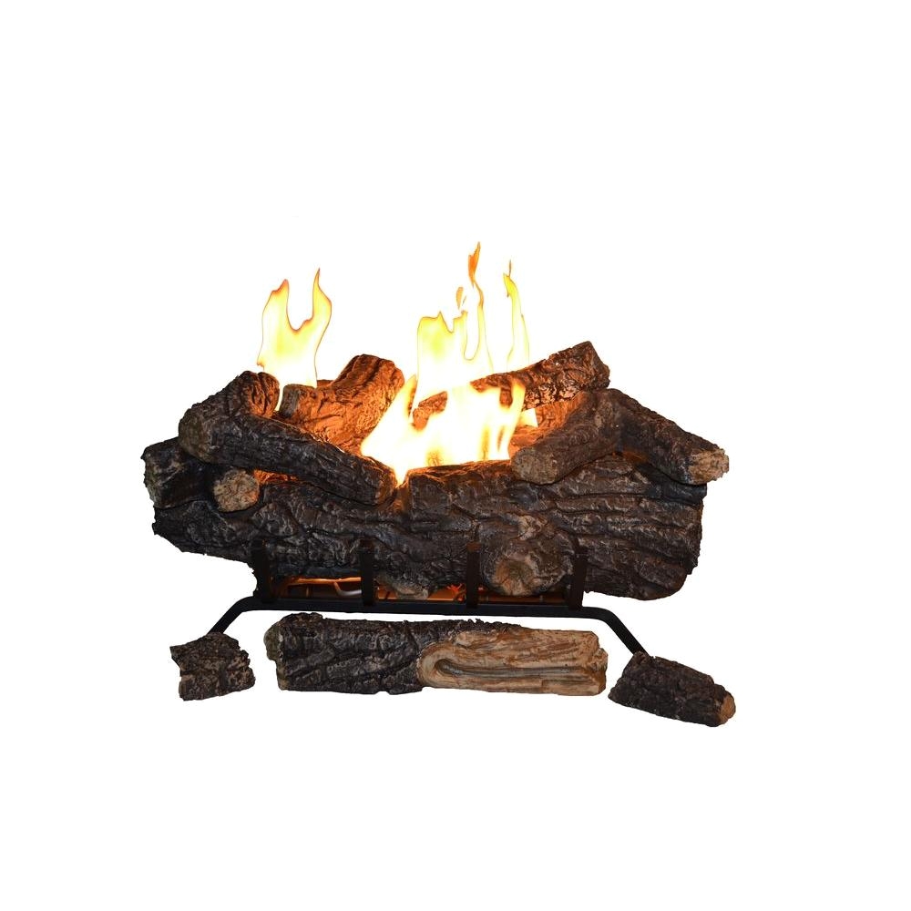 vent free propane gas fireplace logs with remote