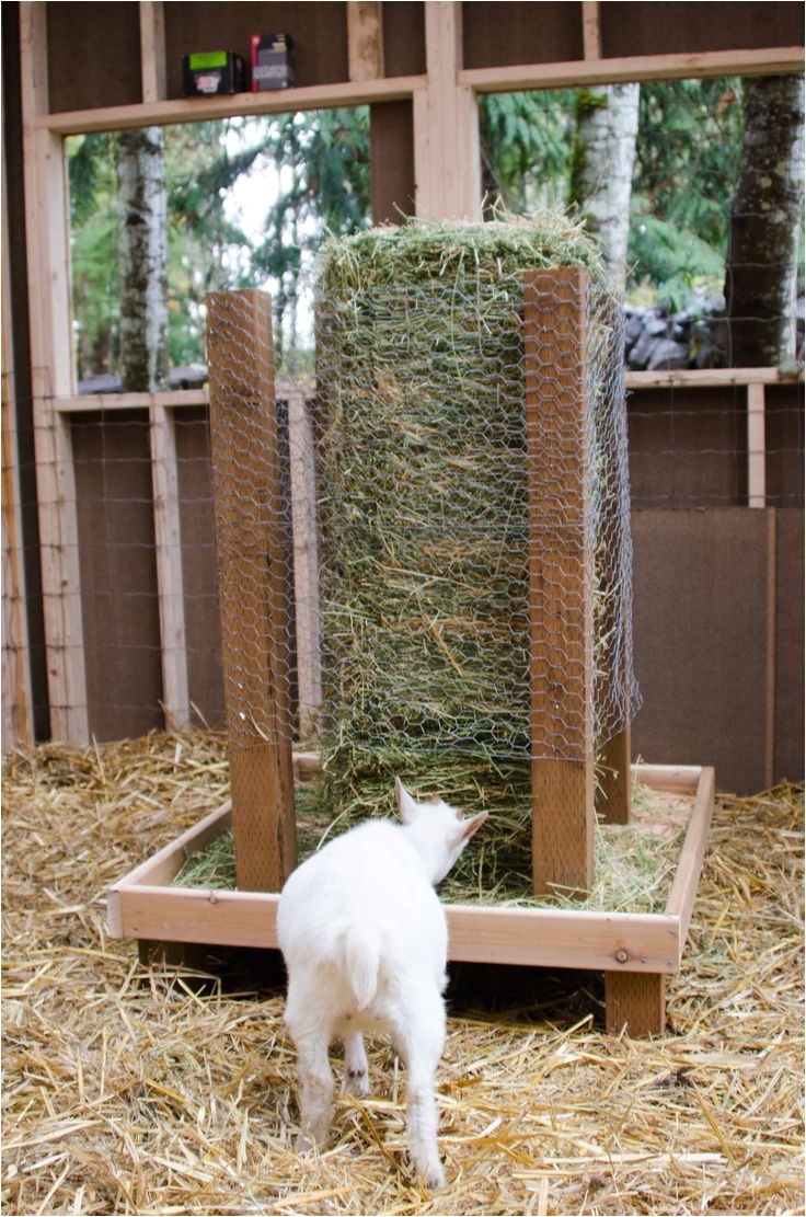 Homemade Goat Hay Rack 1397 Best Goats Images On Pinterest Raising Goats Goat Farming