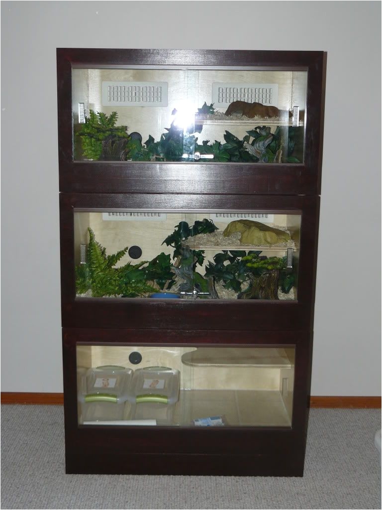 Homemade Reptile Rack System Diy Wood Cage Build Guide Ssnakess Reptile forum Reptile Build