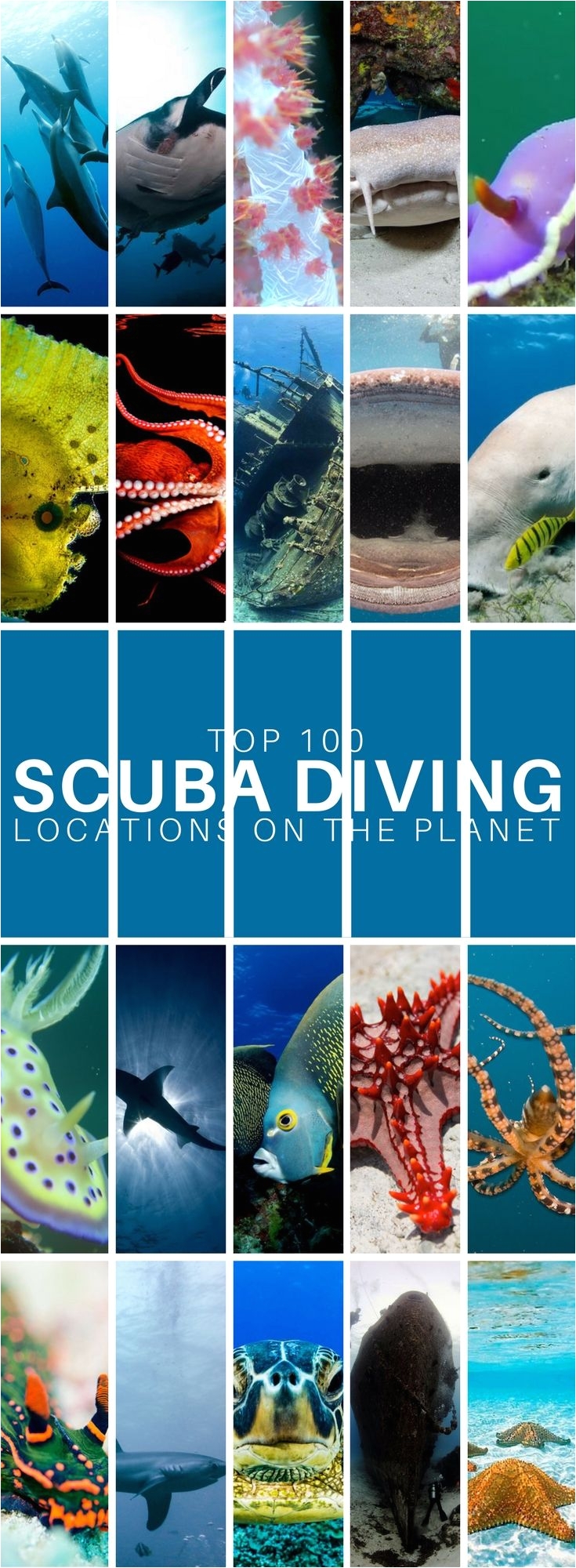 the best scuba diving in the world top 100 locations