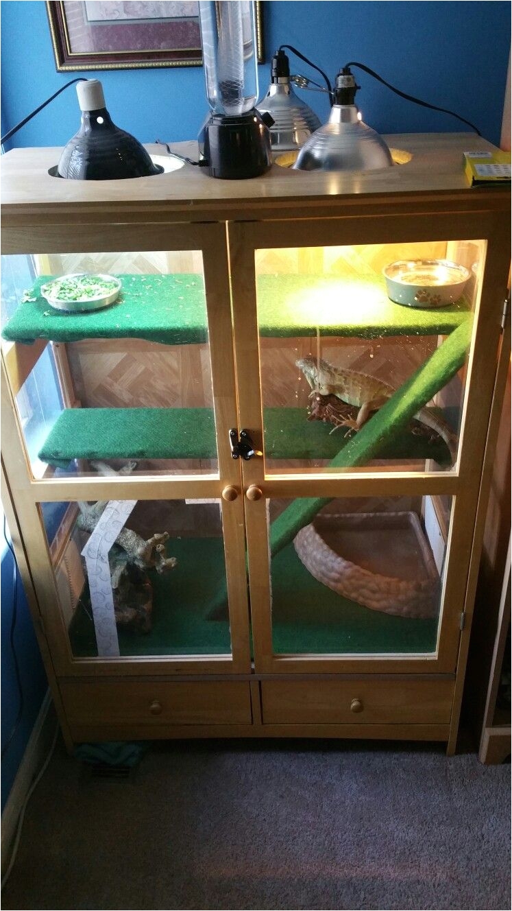 a small cabinet turned into iguana cage