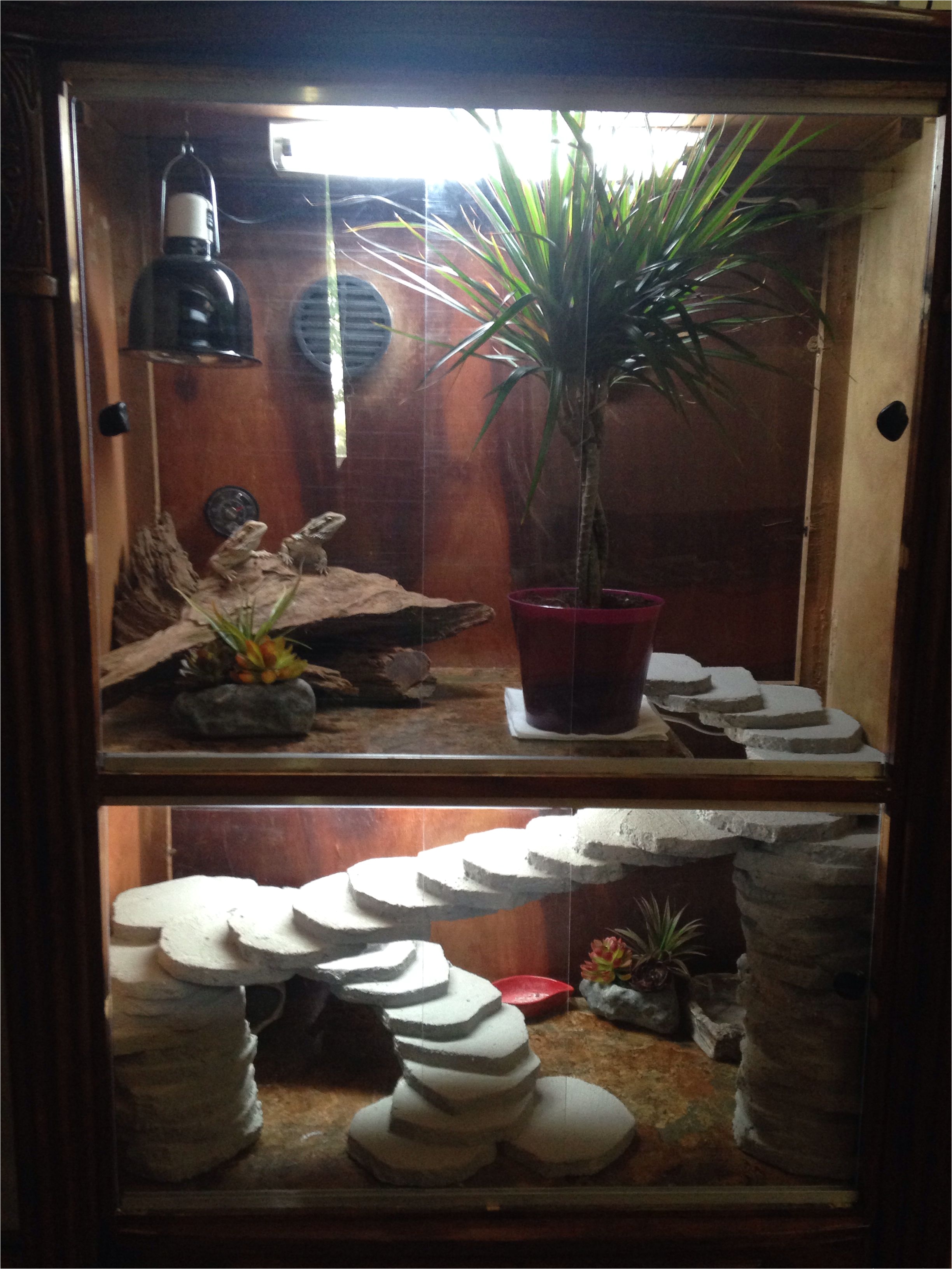 my bearded dragon cage made from a broken dresser