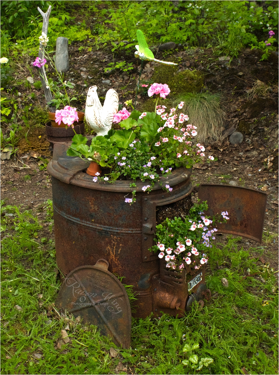 flower wood stoves garden old wood stove by ravenwingphotography on deviantart