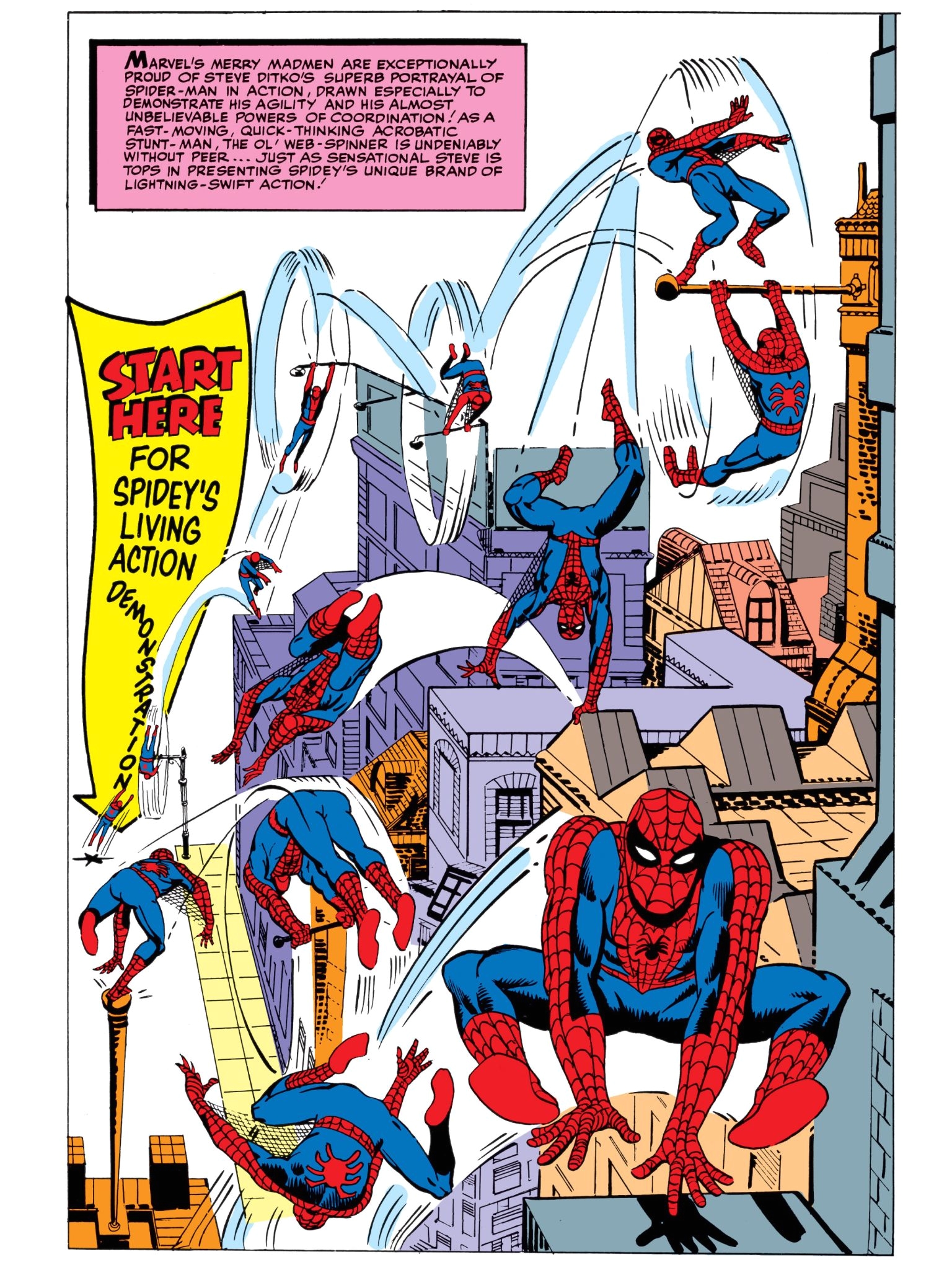 spidey s living action demonstration pin up art by steve ditko
