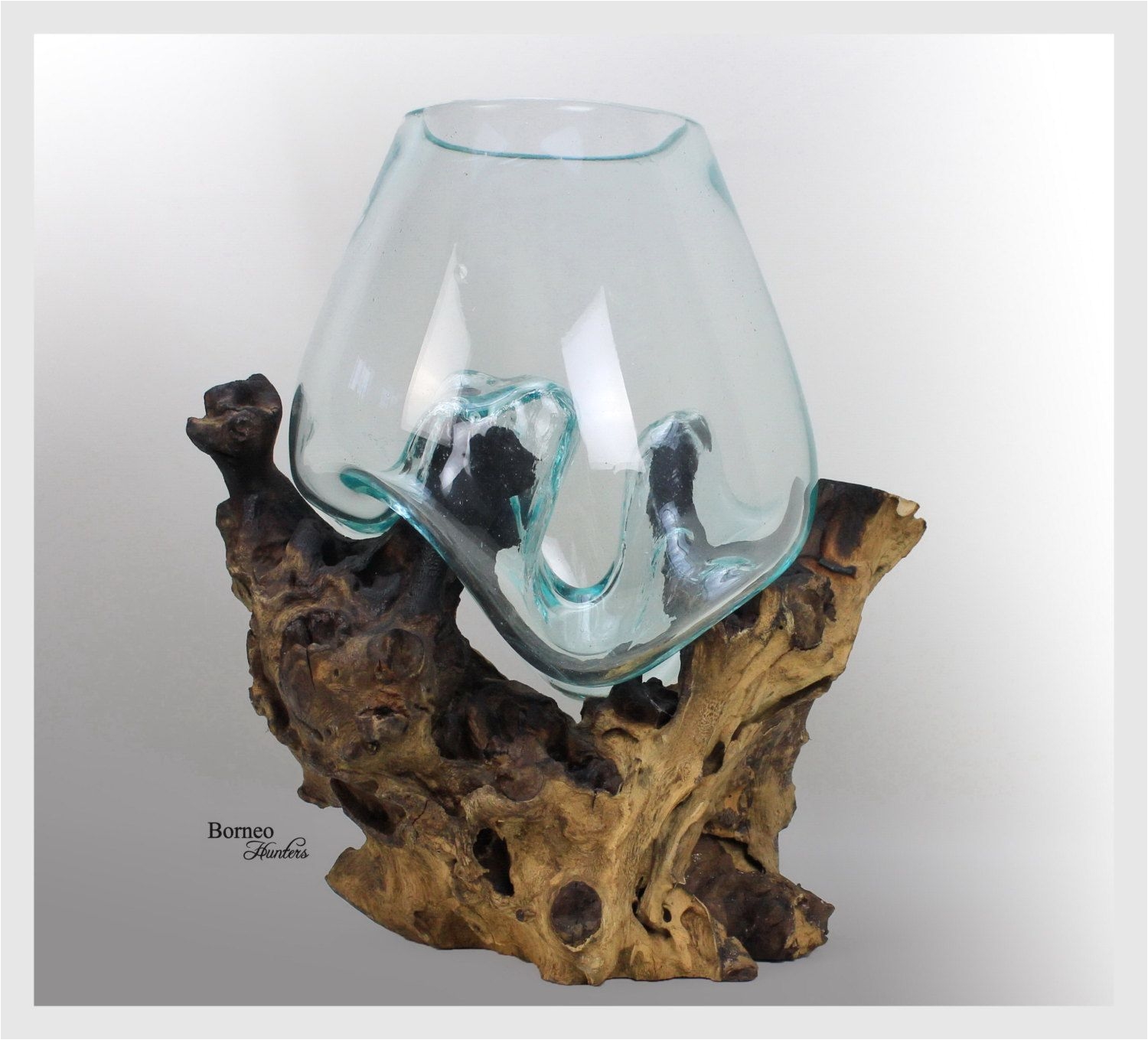 hand blown molten glass on driftwood base sculpted terrarium vase fish bowl indoor planter eco tillandsia aerium unique wood root 12 25x11 by