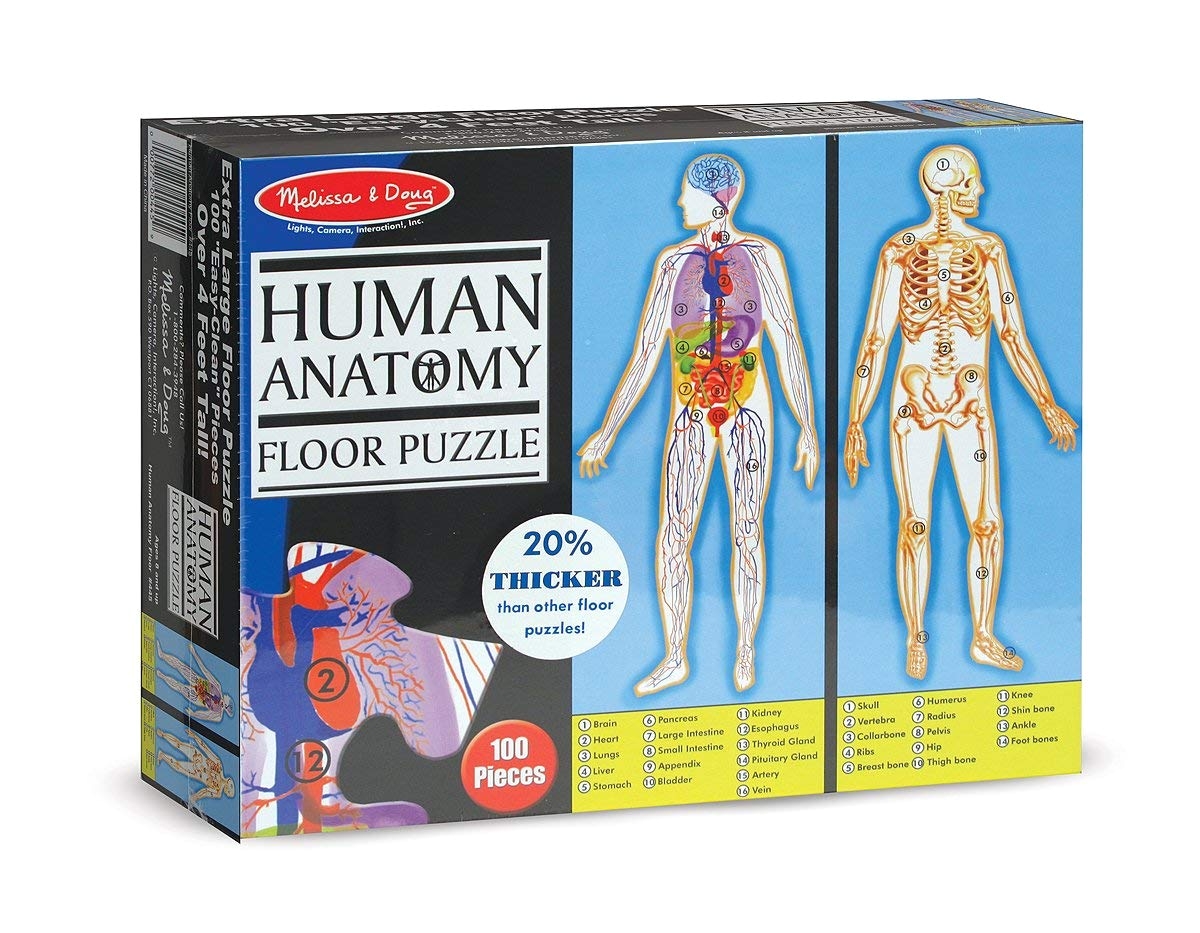 amazon com melissa doug human anatomy 2 sided jumbo jigsaw floor puzzle 100 pcs over 4 feet tall melissa doug toys games