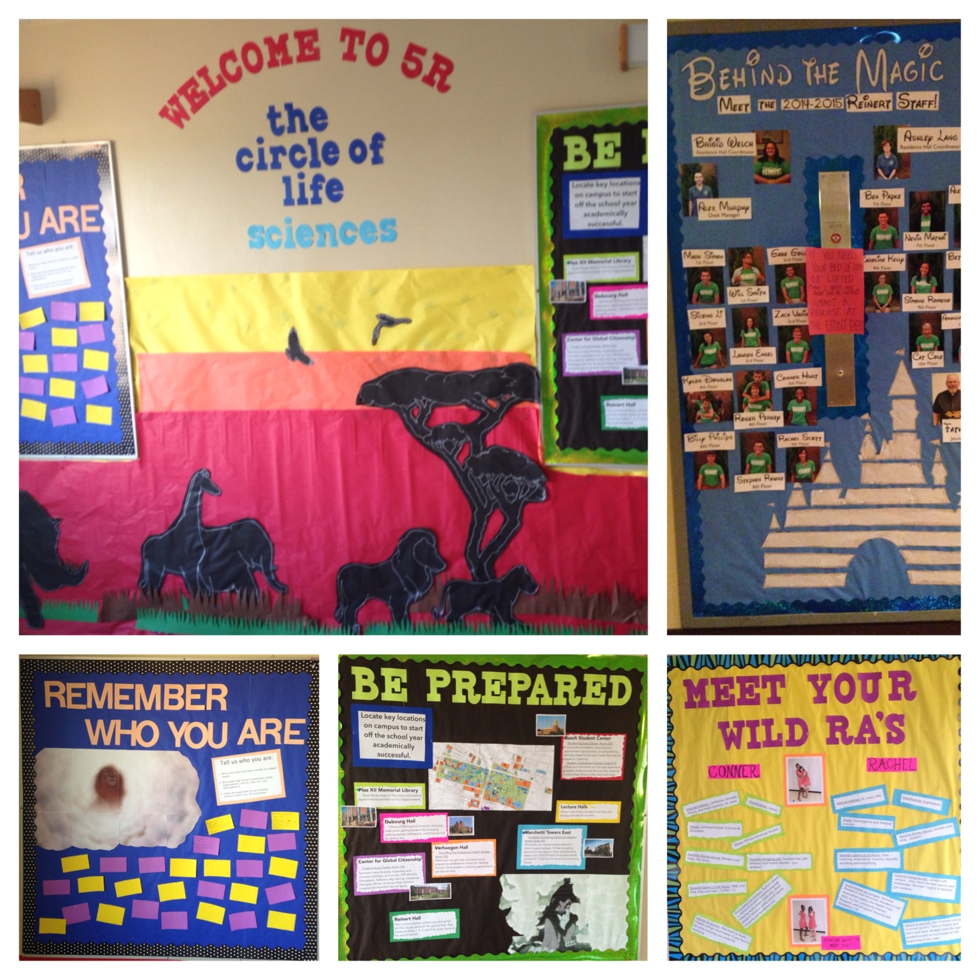 disney s lion king themed bulletin boards and wall decs reslife ra bulletinboards
