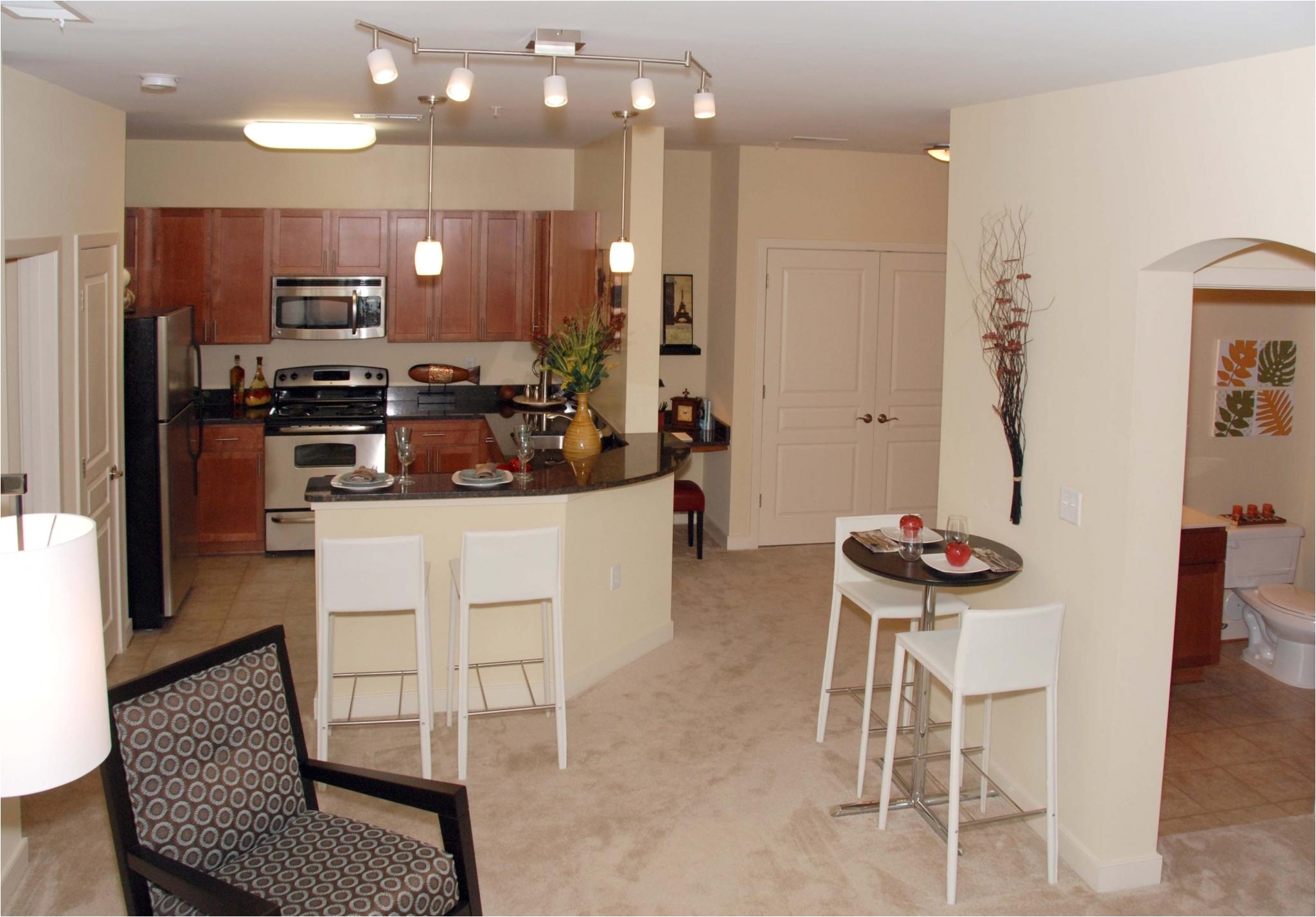 One Bedroom Apartments for Rent In Virginia Beach Va Apartments In Chesapeake with Utilities Included Section Opening