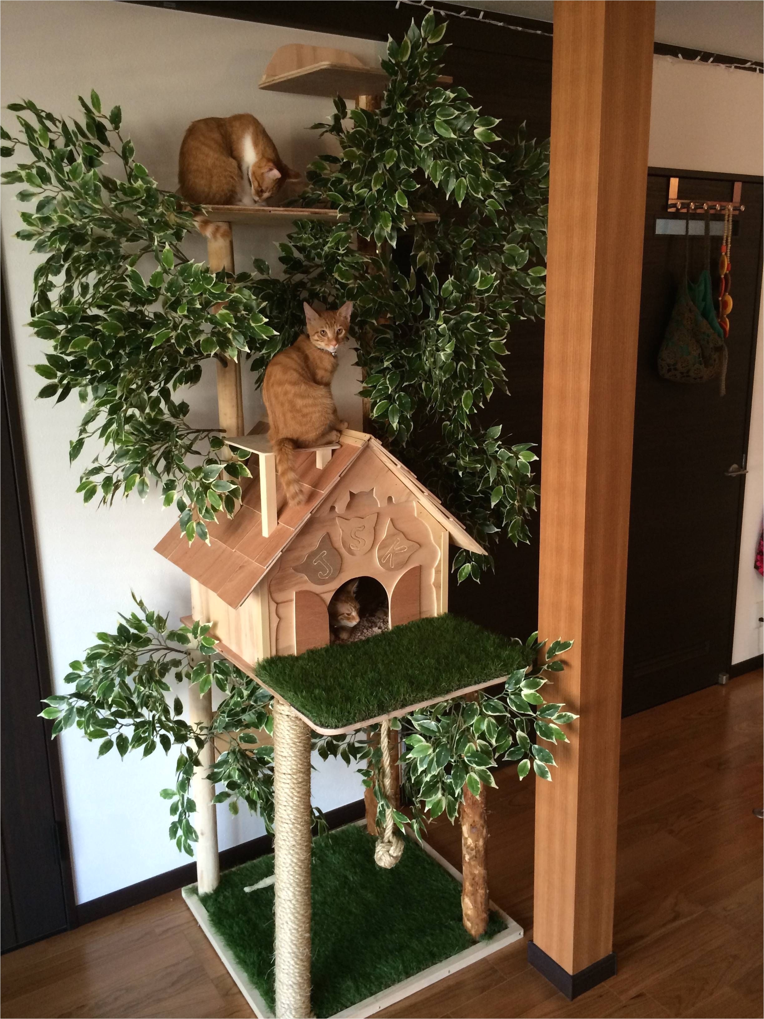 od about gebrichmond cat house plans cat house design diy luxury cat house plans custom house plans best